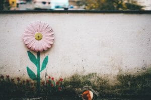 Outdoors Flower on wall – Vitality Detox Drops